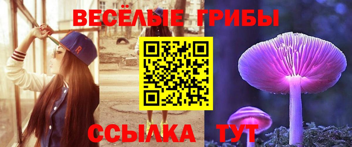 Псилоцибиновые грибы Psilocybine cubensis  Галлюциногенные грибы ЛСД  Вход с VPN  Саранск 